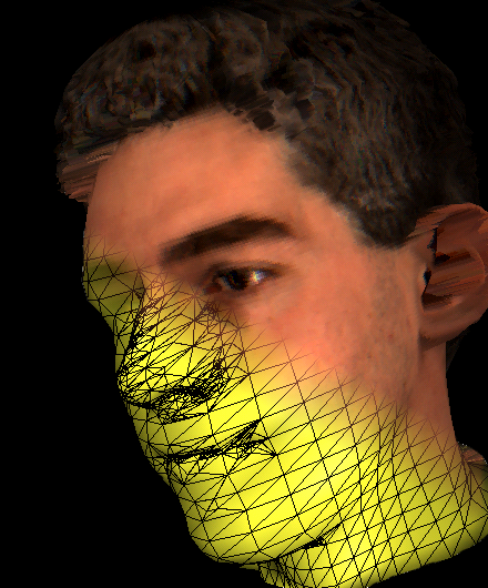 Adaptively Displacement Mapped Head