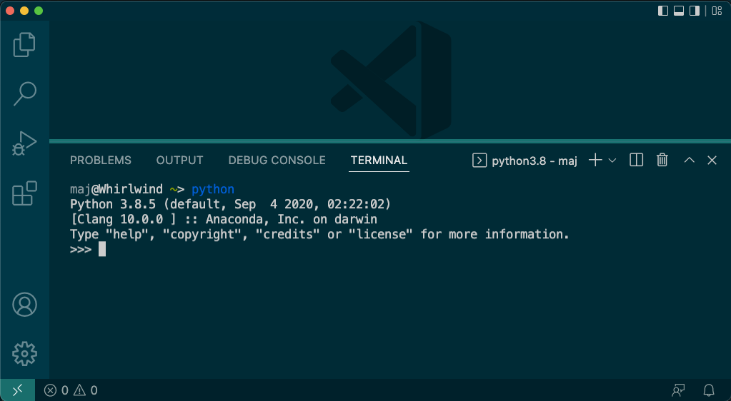 Bild: Vs code terminalen